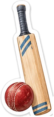 Cricket bat sticker